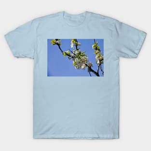 Plum Blossom in Springtime T-Shirt